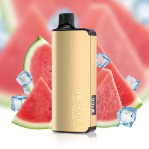 watermelon ice vape 9000 puffs​