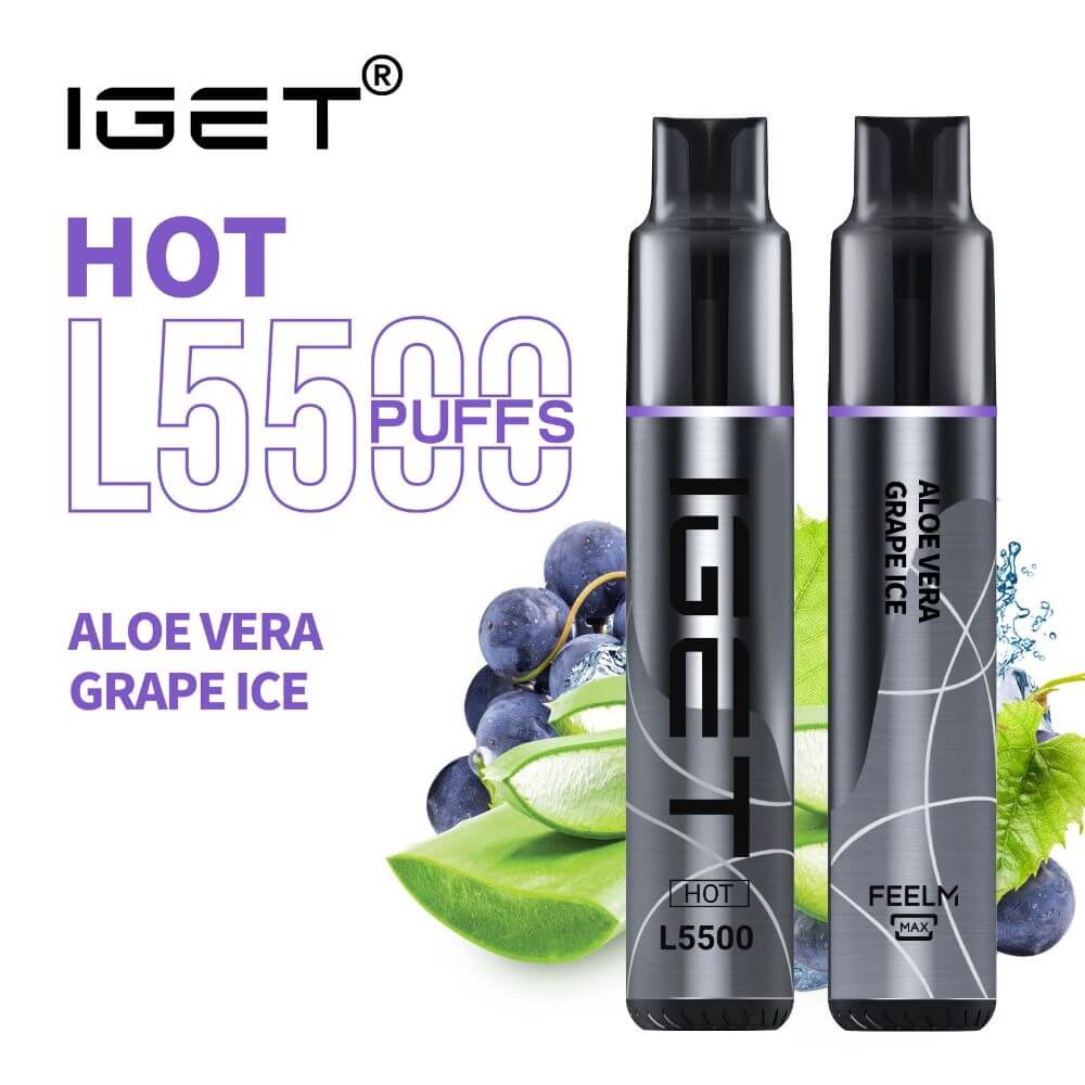 BUY iGET HOT VAPE 5500 PUFF ALOE VERA GRAPE ICE